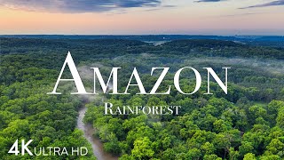 Amazon in 4K  The World’s Largest Tropical Rainforest  Aerial Drone  Scenic Relaxation Film [upl. by Lawrenson]