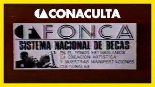 ◖▲ CONACULTA 1993 Becas FONCA [upl. by Rico]