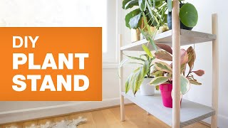 DIY Plant Stand How to Build Plant Shelves [upl. by Nagap]