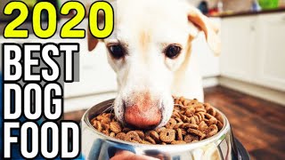 Best Dog Food 2024 ⬆️ TOP 5 ✅ [upl. by Dnomasor]