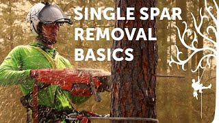 Spar removal basics  SRT tree climbing tutorial  Arborist Howto [upl. by Spalding]