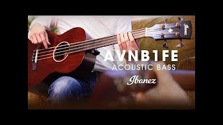 Ibanez AVNB1FE  Compact Acoustic Electric Bass Fretless [upl. by Andromede]