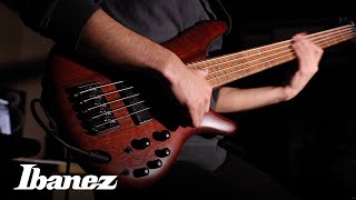 Ibanez SR500 Series Electric Bass [upl. by Lalage]