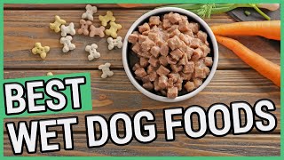 Best Canned Dog Food  5 Best Wet Dog Foods 2021 🐶 ✅ [upl. by Neelyt]