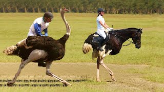 10 Most Unusual Sports From Around The World [upl. by Radke867]