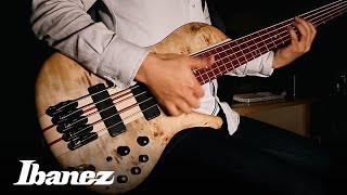 Ibanez Bass workshop  SRSC805NTF [upl. by Rodger263]