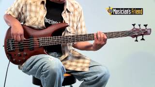 Ibanez SR505 5String Electric Bass Guitar [upl. by Staford]