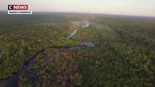 L’Amazonie le poumon vert de la planète [upl. by Liss801]