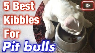 5 best kibbles for pit bulls that are affordable [upl. by Chadbourne]