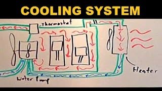 Radiators  Explained [upl. by Mansur]