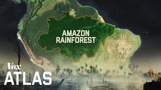 The destruction of the Amazon explained [upl. by Grounds]