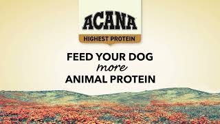 ACANA CANADA Highest Protein Dog [upl. by Nylsor907]