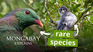 What is an endemic species  Mongabay Explains [upl. by Gunther477]