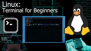 Kali Linux Terminal  Command Line for Beginners Tutorial [upl. by Mairym264]