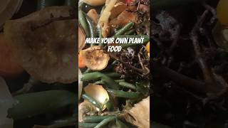 HOW TO MAKE YOUR OWN PLANT FOOD [upl. by Anekahs]