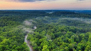 Amazon rainforest  Ecosystems [upl. by Dihahs]