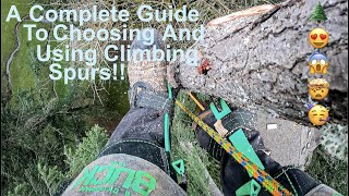 EVERYTHING You Need To Know About Tree Climbing Spurs A Complete Guide to Choosing and Using Spurs [upl. by Ytinirt]