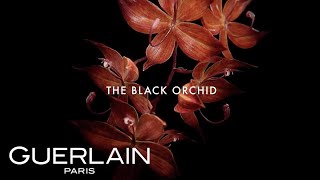 GUERLAIN  Orchidée Impériale The Black Orchid [upl. by Wallack913]