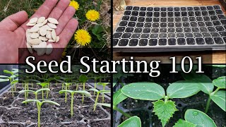 How To Start Vegetable Seeds  The Definitive Guide For Beginners [upl. by Phenice359]