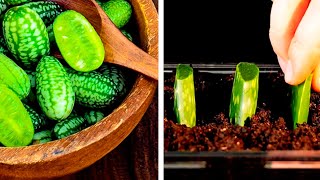 16 EASY WAYS TO GROW YOUR OWN SEEDS AND PLANTS [upl. by Petulah]