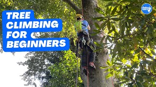 Basic climbing techniques Basic tree ascent [upl. by Ahsemat]