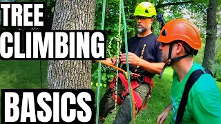 Tree Climbing Basics What Equipment Do I Need To Climb a Tree  Basic Gear  Stan Dirt Monkey [upl. by Concepcion552]