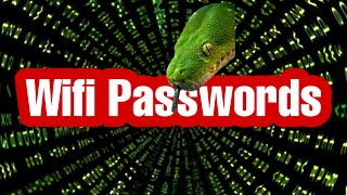 Get WiFi Passwords With Python  python project for beginners [upl. by Lehpar620]