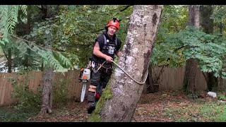 Tree climbing with spurs for the first time  TIPS [upl. by Rukna]