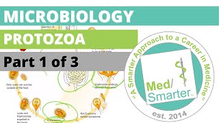 Protozoa  Microbiology  USMLE STEP 1  Part 1 of 3 [upl. by Eiramnwad88]