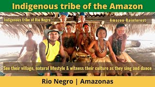 Brazil Travel  Indigenous tribe of the Amazon [upl. by Orravan]