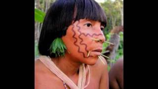 Tribes of the Amazon Rainforest  Yanomami Yekuana and Piaroa [upl. by Eanehs]