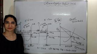 Collusive Oligopoly  Perfect Cartel [upl. by Nnylakcaj]