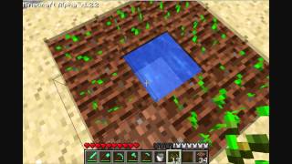 MineCraft Tutorial How to plant amp grow crops [upl. by Yraillih]