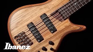 Ibanez SR Premium [upl. by Cordeelia]