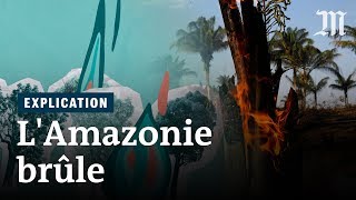 Pourquoi lAmazonie brûle et pourquoi cest grave [upl. by Mile266]